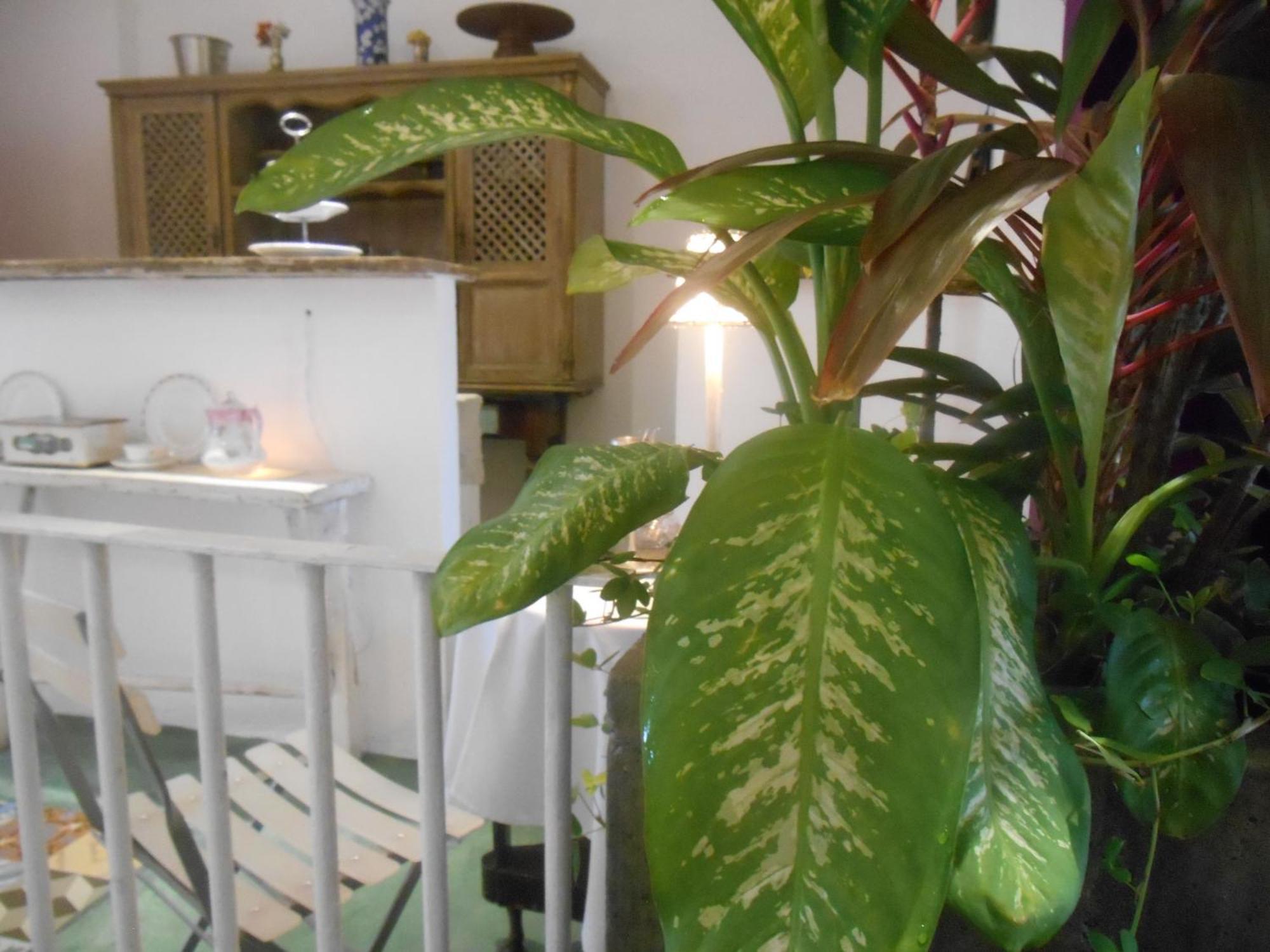 Solar Das Artes - Pousada Boutique ซัลวาดอร์ ภายนอก รูปภาพ
